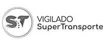 Vigilado Logo